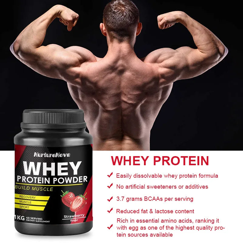 Wholesale of Proprietary Brand Strawberry Flavored Whey Protein Powder as a Supplement for Muscle Building and  Immune for Adult