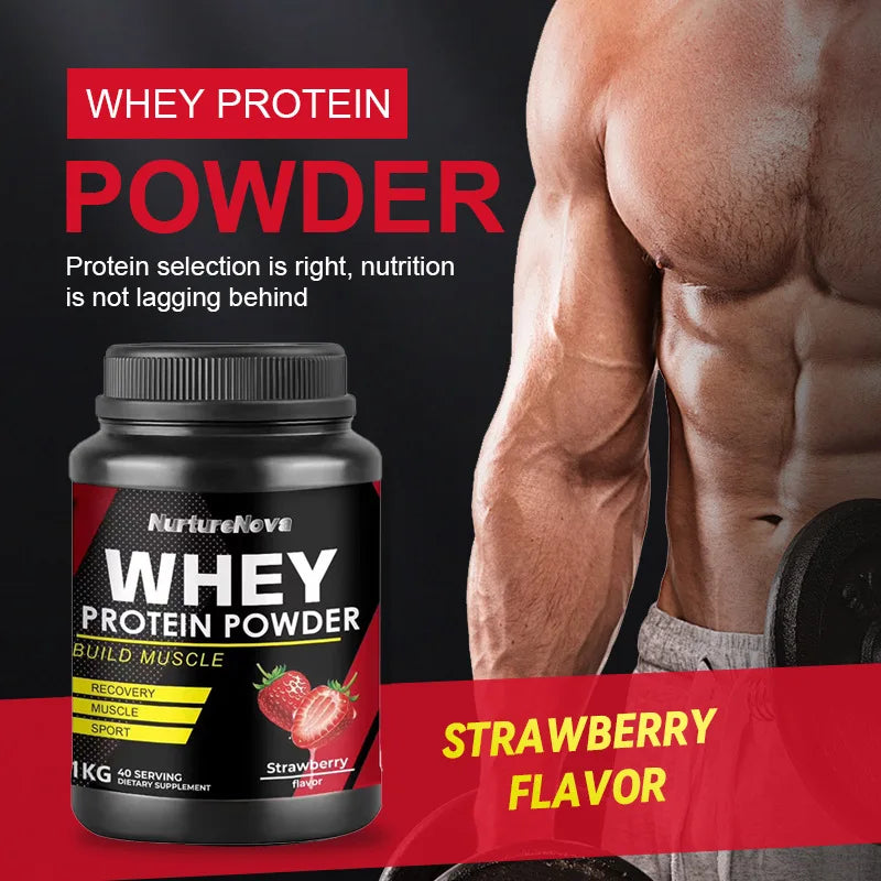 Wholesale of Proprietary Brand Strawberry Flavored Whey Protein Powder as a Supplement for Muscle Building and  Immune for Adult